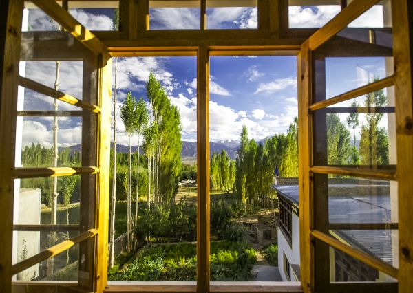 Cost of Wood Window Replacement in Doylestown