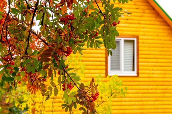 Cost of Garden Window Replacement in Doylestown